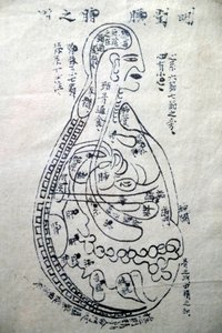 Museo della Medicina Tradizionale Vietnamita, I canali e i vasi, Libro di agopuntura, Ho Chi Minh City, Vietnam
