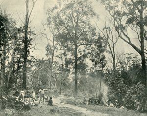 Sport nativi, Lake Tyers, 1901 da Unbekannt