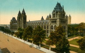 Museo di Storia Naturale, Londra, c. 1910 da Unbekannt