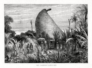 Capanna nativa della Nuova Caledonia, Pacifico sud-occidentale, 1877 da Unbekannt