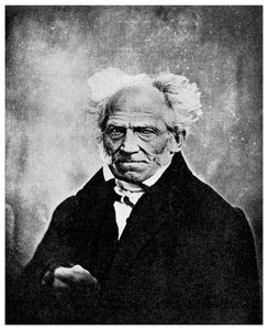 Nichilismo: Arthur Schopenhauer, filosofo tedesco, XIX secolo 1956