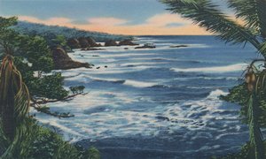Costa Nord, Trinidad, B.W.I., c1940s