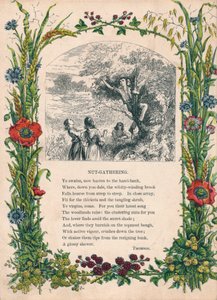 Raccolta di noci, di Thomson, c1900