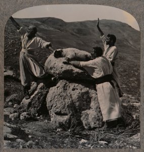 Offerta di sacrificio di agnello sull