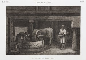 Frantoio, Egitto, c 1798