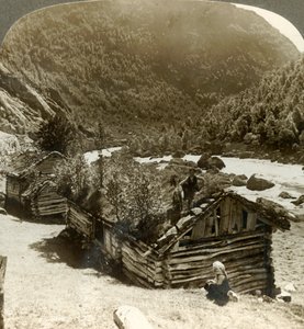 Vecchie case di tronchi a Bratslandsdal, con alberi che crescono sui tetti coperti di zolle, Norvegia da Unbekannt