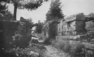Olimpia - Ingresso al Campo Atletico, 1913