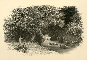Sul Dargle, c. 1890 da Unbekannt