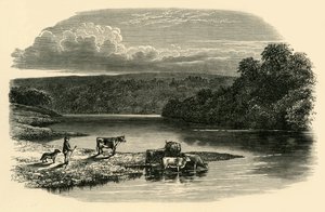 Sul Dee