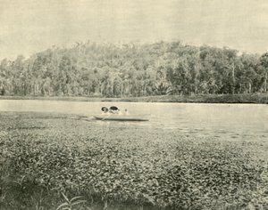Sul lago Enoggera, 1901 da Unbekannt