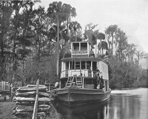 Sul fiume Ocklawaha, Florida, USA da Unbekannt