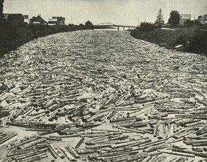 Sulla strada per le segherie, c1948
