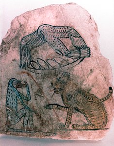 Frammento di ostracon, ghepardo, uccello e scimmia, Egitto