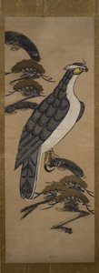 Otsu-e di falco su un pino, XVIII secolo da Unbekannt