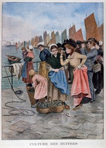 Venditore di ostriche, 1902 da Unbekannt
