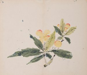 Pagina da Shi Zhu Zhai da Unbekannt