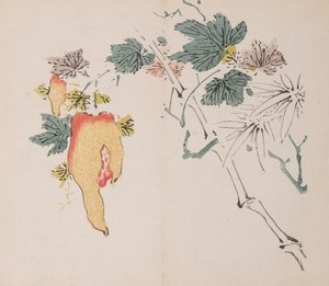 Pagina da Shi Zhu Zhai da Unbekannt