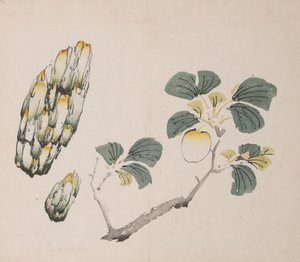 Pagina da Shi Zhu Zhai da Unbekannt