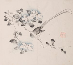Pagina da Shi Zhu Zhai