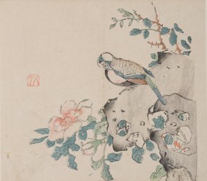 Pagina da Shi Zhu Zhai da Unbekannt