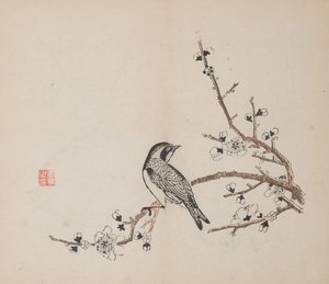 Pagina da Shi Zhu Zhai