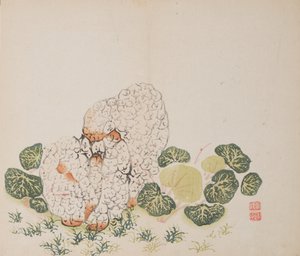 Pagina da Shi Zhu Zhai da Unbekannt