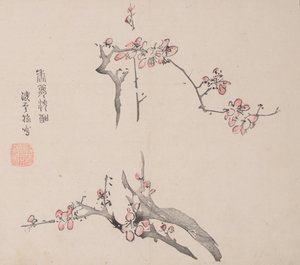 Pagina da Shi Zhu Zhai da Unbekannt