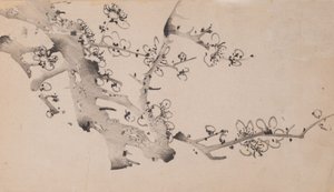Pagina da Shi Zhu Zhai da Unbekannt