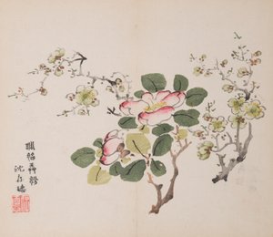 Pagina da Shi Zhu Zhai da Unbekannt