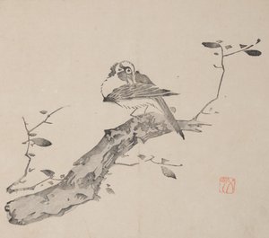 Pagina da Shi Zhu Zhai
