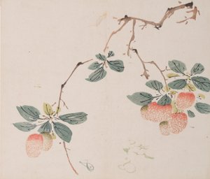 Pagina da Shi Zhu Zhai da Unbekannt