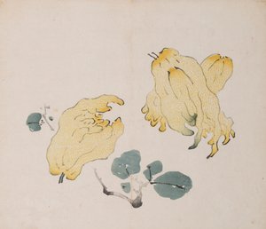Pagina da Shi Zhu Zhai da Unbekannt