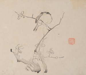 Pagina da Shi Zhu Zhai Shu hua pu