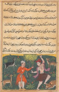 Pagina da Racconti di un pappagallo Tuti-nama: Diciottesima notte: Il principe incontra..., c. 1560 da Unbekannt