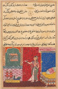 Pagina da Racconti di un pappagallo Tuti-nama: Quindicesima notte: Il pappagallo si rivolge a Khujasta..., 1558-156 da Unbekannt