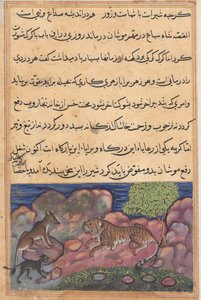 Pagina da Tales of a Parrot Tuti-nama: Quindicesima notte: Il lupo consiglia il leone