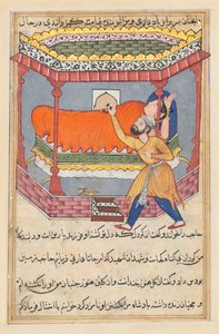 Pagina da Le storie di un pappagallo Tuti-nama: Cinquantesima notte: Il re pone il talismano..., c. 1560 da Unbekannt