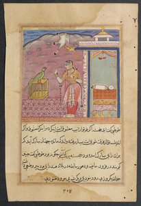 Pagina da Tales of a Parrot Tuti-nama: Quarantaquattresima notte: Il pappagallo si rivolge... da Unbekannt