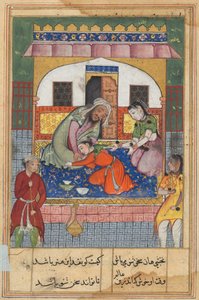 Pagina da Racconti di un pappagallo Tuti-nama: Quarantaduesima notte: Pentendosi della sua condotta..., c. 1560 da Unbekannt