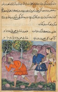 Pagina da Tales of a Parrot Tuti-nama: Quarantaduesima notte: La figlia del Raja..., c. 1560
