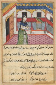 Pagina da Tales of a Parrot Tuti-nama: Quarantaduesima notte: Il pappagallo si rivolge... da Unbekannt