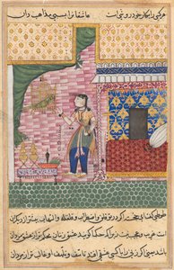 Pagina da Tales of a Parrot Tuti-nama: Diciassettesima notte: Il pappagallo..., c. 1560 da Unbekannt