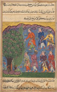 Pagina da Racconti di un pappagallo Tuti-nama: Sesta notte: Sette uomini che disputano il possesso..., c. 1560 da Unbekannt