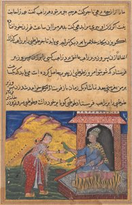 Pagina da Tales of a Parrot Tuti-nama: Decima notte: La moglie del visir invia la magia..., c. 1560