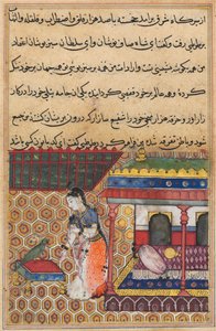 Pagina da Tales of a Parrot Tuti-nama: Trentasettesima notte: Il pappagallo si rivolge a Khujasta, c1560 da Unbekannt