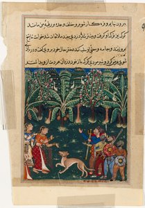 Pagina da Racconti di un pappagallo Tuti-nama: Dodicesima notte: La figlia del mercante..., c. 1560 da Unbekannt