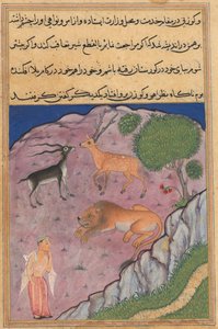 Pagina da Tales of a Parrot Tuti-nama: Ventunesima notte: Il Brahmano..., c. 1560