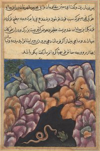 Pagina da Tales of a Parrot Tuti-nama: Ventiseiesima notte: Il serpente entra...