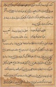 Pagina da Le storie di un pappagallo Tuti-nama: pagina di testo, c. 1560 da Unbekannt
