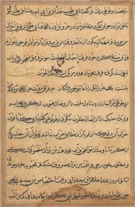 Pagina da Tales of a Parrot Tuti-nama: pagina di testo da Unbekannt